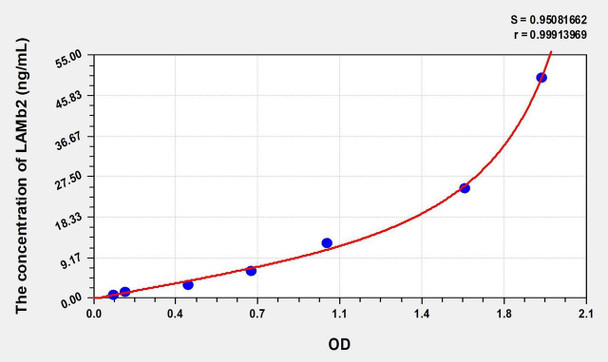 Human LAMb2 (Laminin Beta 2) ELISA (Small Sample Volume) (AEKE08166)