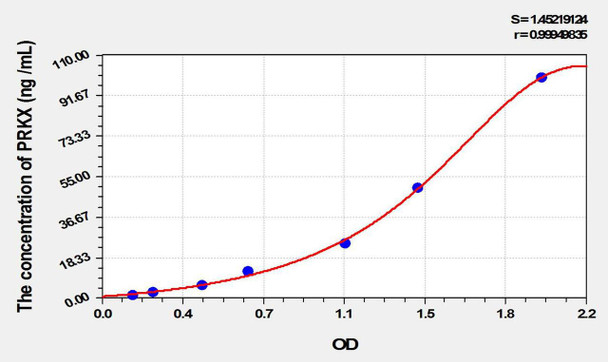 Rat PRKX (Protein Kinase, X-Linked) ELISA Kit (AEKE10396)