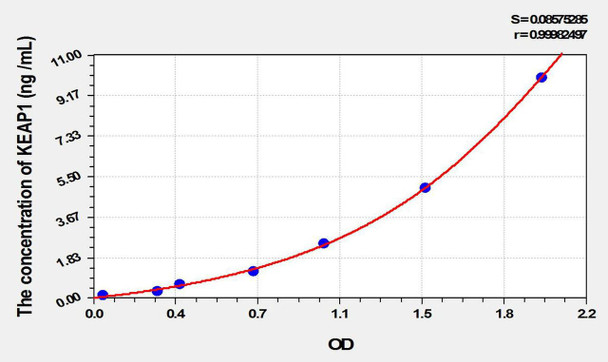 Human KEAP1 (Kelch Like ECH Associated Protein 1) ELISA Kit (AEKE10435)