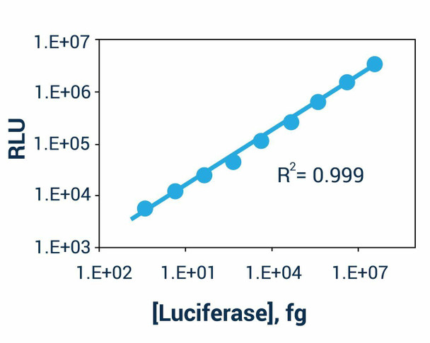 Luciferase Reporter Gene Assay Kit (500 Tests) (BA0183)