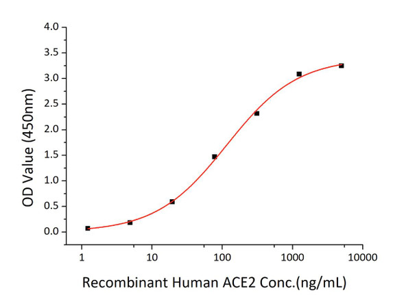 Recombinant SARS-CoV-2 Spike S1+S2 ECD Protein