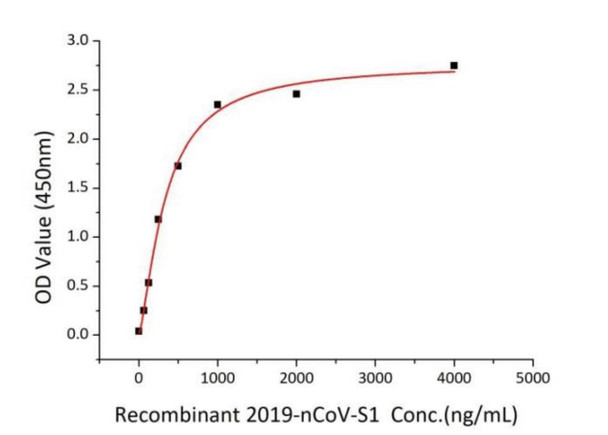 Recombinant  Spike Protein - SARS-CoV-2