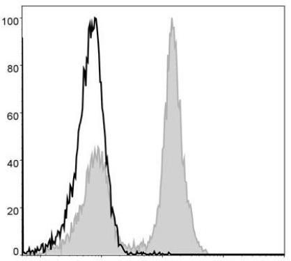 GenieFluor 488 Anti-Mouse CD19 Antibody [1D3] (AGEL0009)