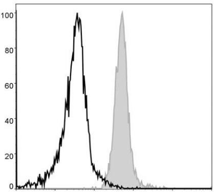 PE Anti-Mouse F4/80 Antibody [CI:A3-1] (AGEL0045)