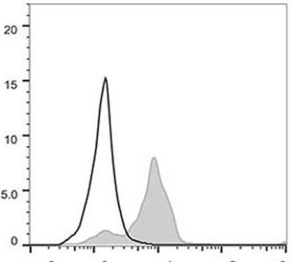 GenieFluor 488 Anti-Human CD86 Antibody [BU63] (AGEL0095)