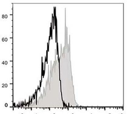 APC Anti-Mouse CD127/IL-7RA Antibody [A7R34] (AGEL0131)