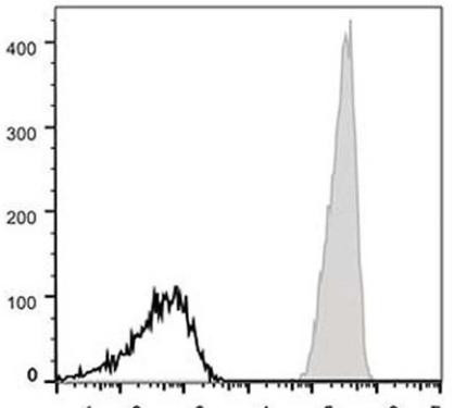 APC Anti-Human CD47 Antibody [CC2C6D4] (AGEL0253)