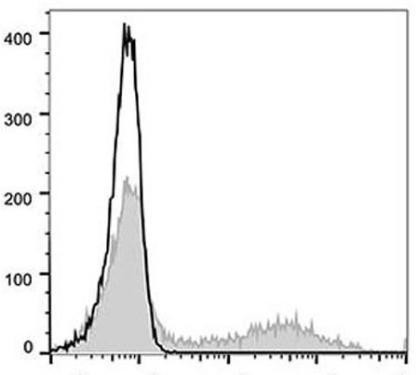 GenieFluor 488 Anti-Human CD57 Antibody [HNK-1] (AGEL0270)