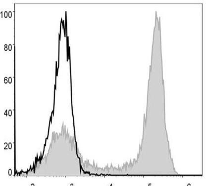 FITC Anti-Mouse/Human CD11b Antibody [M1/70] (AGEL0306)