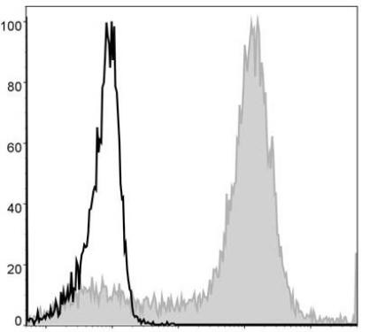 PE Anti-Mouse/Human CD11b Antibody [M1/70] (AGEL0307)