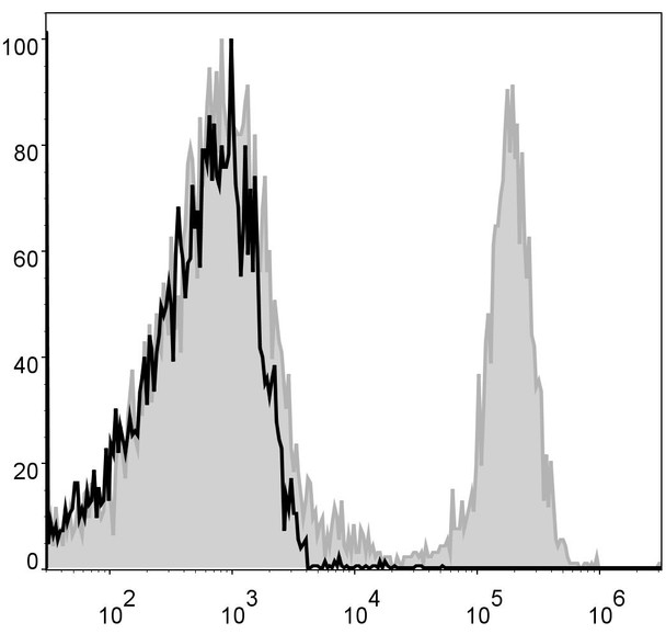 Mouse CD8a Monoclonal Antibody (APC Conjugated) [53.6.7](AGEL0382)