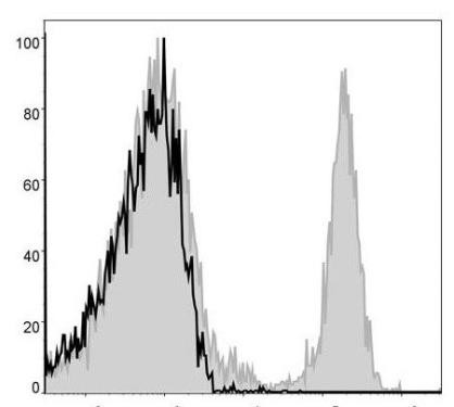 APC Anti-Mouse CD8a Antibody [53-6.7] (AGEL0382)
