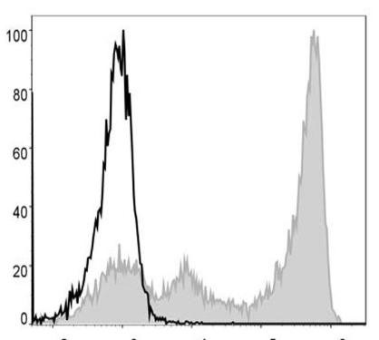 FITC Anti-Mouse Ly6G Antibody [1A8] (AGEL0391)