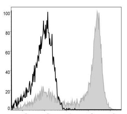 APC Anti-Mouse Ly6G Antibody [1A8] (AGEL0393)