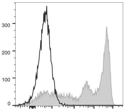 FITC Anti-Mouse Ly-6G/Ly-6C (Gr-1) Antibody [RB6-8C5] (AGEL0462)