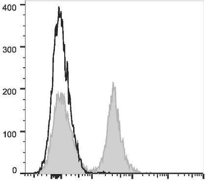 PE/Cyanine7 Anti-Mouse CD19 Antibody [1D3] (AGEL0466)