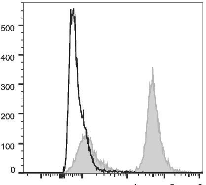 PE/Cyanine5.5 Anti-Mouse CD19 Antibody [1D3] (AGEL0467)