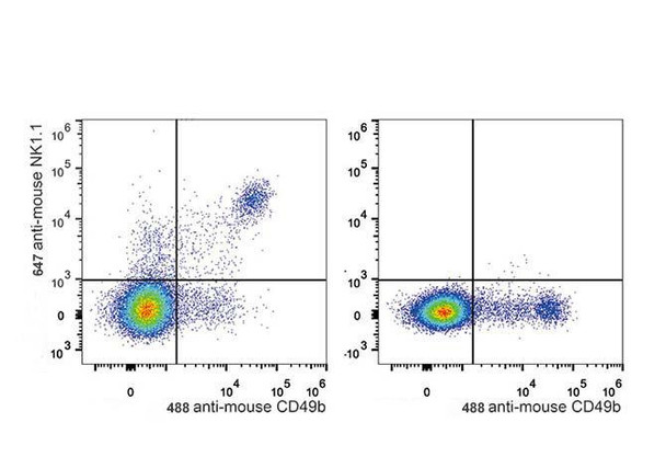 GenieFluor 647 Anti-Mouse CD161/NK1.1 Antibody [PK136] (AGEL0483)
