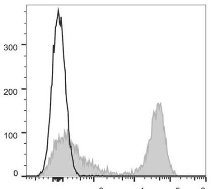 GenieFluor 647 Anti-Mouse MHC II (I-A/I-E) Antibody [M5/114] (AGEL0508)