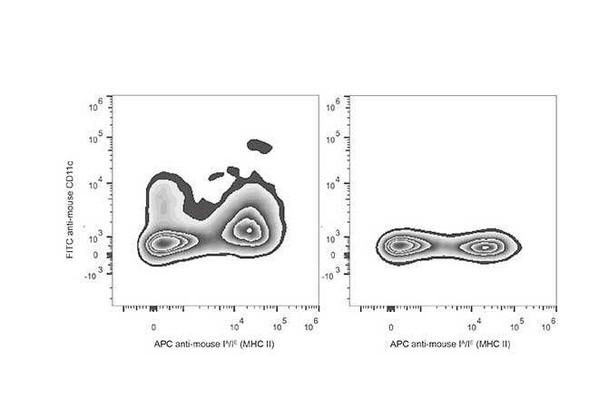 FITC Anti-Mouse CD11c Antibody [N418] (AGEL0513)