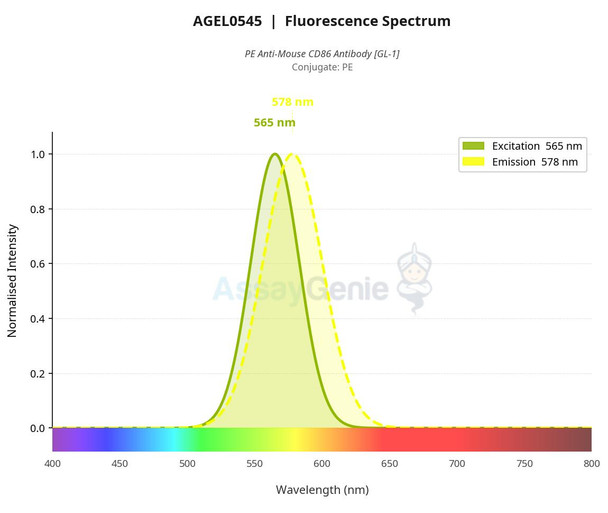PE Anti-Mouse CD86 Antibody [GL-1] (AGEL0545)