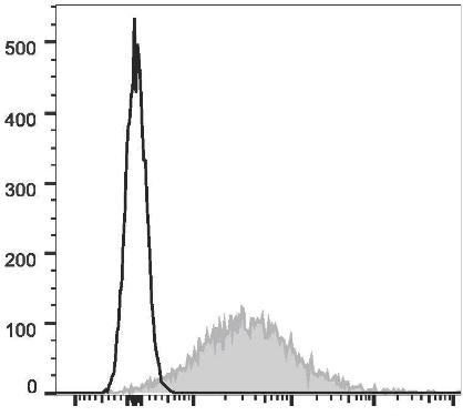 APC Anti-Mouse CD86 Antibody [GL-1] (AGEL0554)