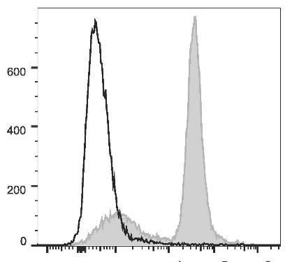 PE/Cyanine7 Anti-Mouse CD16/32 Antibody [2.4G2] (AGEL0592)