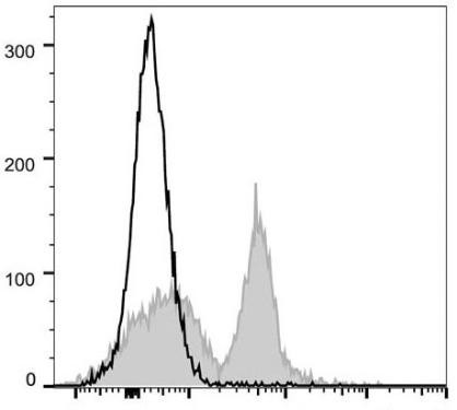 PE/Cyanine5 Anti-Mouse CD40 Antibody [FGK4.5/FGK45] (AGEL0785)