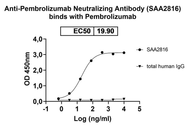 Anti-Pembrolizumab Neutralizing Antibody [SAA2816]