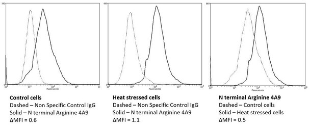 Flow Cytometry analysis using Mouse Anti-N-terminal Arginylation Monoclonal Antibody, Clone 4A9 (STMA00073). Tissue: Neuroblastoma cells (SH-SY5Y). Species: Human. Fixation: 90% Methanol. Primary Antibody: Mouse Anti-N-terminal Arginylation Monoclonal Antibody (STMA00073) at 1:50 for 30 min on ice. Secondary Antibody: Goat Anti-Mouse: PE at 1:100 for 20 min at RT. Isotype Control: Non Specific IgG.