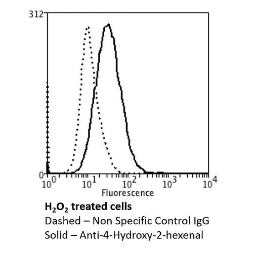 Flow Cytometry analysis using Mouse Anti-4-hydroxy-2-hexenal Monoclonal Antibody, Clone 6F10 (STMA00181). Tissue: Neuroblastoma cells (SH-SY5Y). Species: Human. Fixation: 90% Methanol. Primary Antibody: Mouse Anti-4-hydroxy-2-hexenal Monoclonal Antibody (STMA00181) at 1:50 for 30 min on ice. Secondary Antibody: Goat Anti-Mouse: PE at 1:100 for 20 min at RT. Isotype Control: Non Specific IgG.