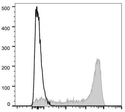 GenieFluor 647 Anti-Human CD45RA Antibody [HI100] (AGEL0961)