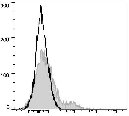 PE/Cyanine7 Anti-Human CD35 Antibody [E11] (AGEL1014)