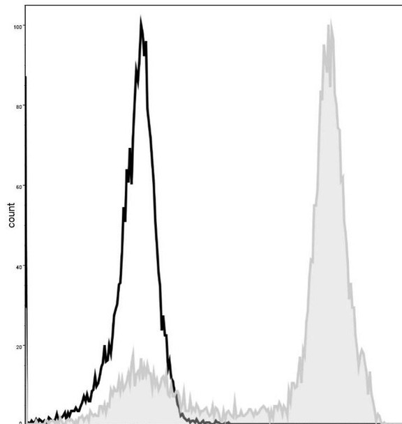 GenieFluor 488 Anti-Mouse/Human CD11b Antibody [M1/70] (AGEL1112)
