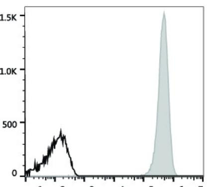 PE Anti-Human CD41 Antibody [HIP8] (AGEL1131)
