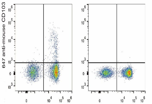 GenieFluor 647 Anti-Mouse CD103 Antibody [M290] (AGEL1162)
