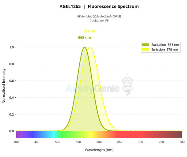 PE Anti-Rat CD8a Antibody [OX-8] (AGEL1265)