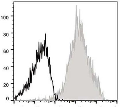 APC Anti-Human/Mouse CD44 Antibody [IM7] (AGEL1283)