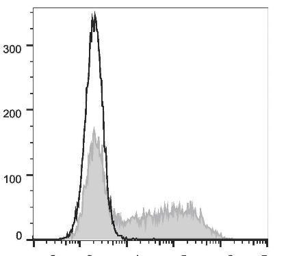 PE Anti-Mouse IFN-κ Antibody [XMG1.2] (AGEL1294)