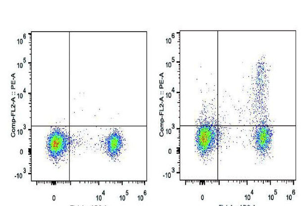PE Anti-Mouse CD25 Antibody [PC-61.5.3] (AGEL1306)