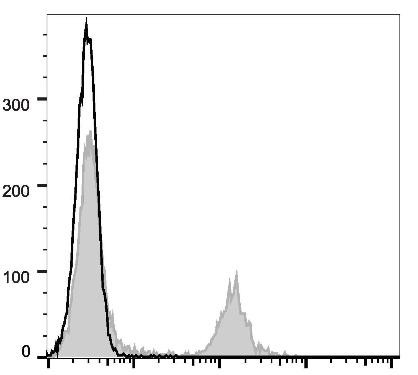 APC Anti-Rat CD4 (domain 1) Antibody [OX-38] (AGEL1347)