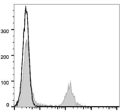 APC Anti-Rat CD4 (domain 1) Antibody [OX-38] (AGEL1357)
