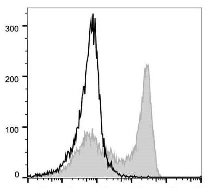 PerCP/Cyanine5.5 Anti-Mouse Ly6G Antibody [1A8] (AGEL1382)