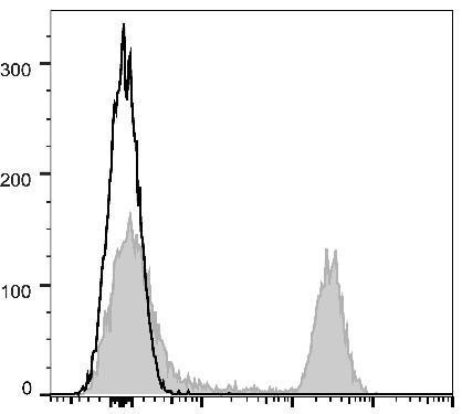 GenieFluor 647 Anti-Mouse CD45R/B220 Antibody [RA3.3A 1/6.1] (AGEL1407)