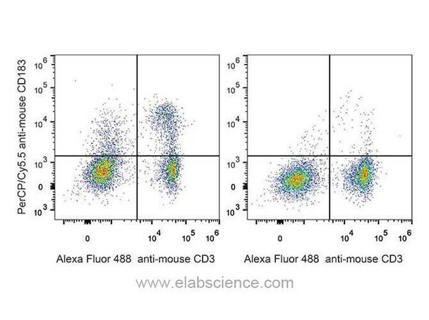 Mouse CD183/CXCR3 Monoclonal Antibody (PerCP/Cyanine5.5 Conjugated) [CXCR3-173](AGEL1426)