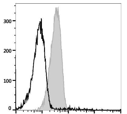 PE Anti-Mouse CD119 Antibody [GR-20] (AGEL1439)