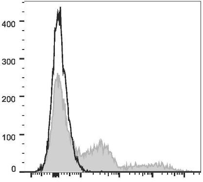 PE/Cyanine7 Anti-Mouse Ly-6G/Ly-6C (Gr-1) Antibody [RB6-8C5] (AGEL1484)