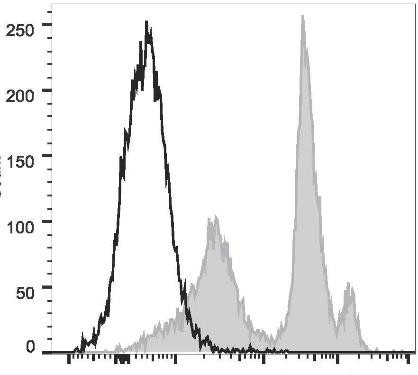 PE/Cyanine5.5 Anti-Mouse Ly6C Antibody [Monts 1] (AGEL1508)