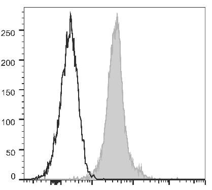 PE Anti-Mouse CD274/PD-L1 Antibody [10F.9G2] (AGEL1642)