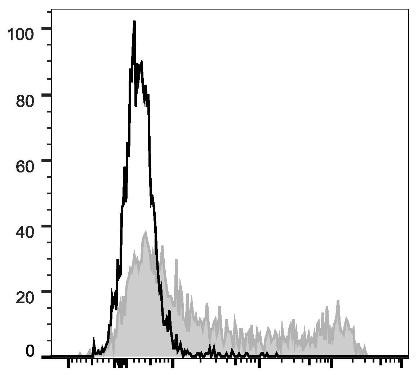PE Anti-Human CD45RO Antibody [UCHL1] (AGEL1697)